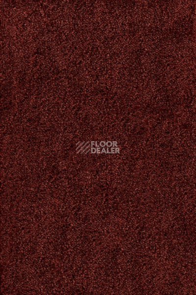 Ковролин AW Masquerade Messalina 10 фото 1 | FLOORDEALER